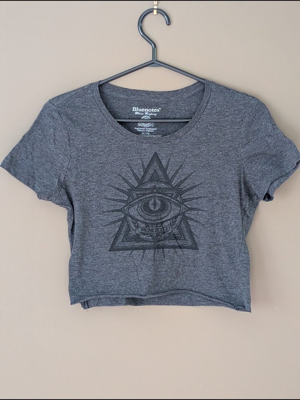 Bluenotes Eye of Providence Crop Tee